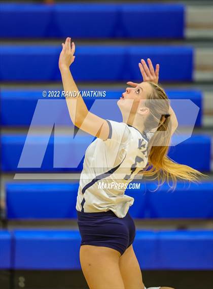 Thumbnail 2 in Birdville @ Keller photogallery.