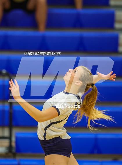 Thumbnail 3 in Birdville @ Keller photogallery.