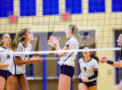 Thumbnail 3 in Birdville @ Keller photogallery.