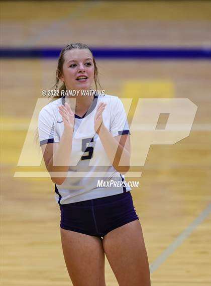 Thumbnail 3 in Birdville @ Keller photogallery.