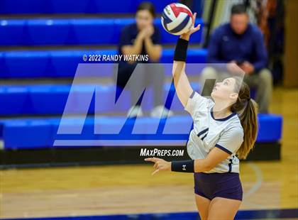 Thumbnail 1 in Birdville @ Keller photogallery.
