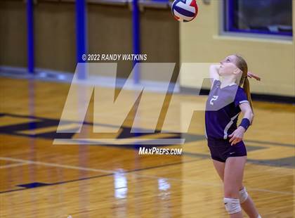 Thumbnail 3 in Birdville @ Keller photogallery.