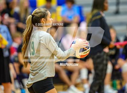 Thumbnail 1 in Birdville @ Keller photogallery.