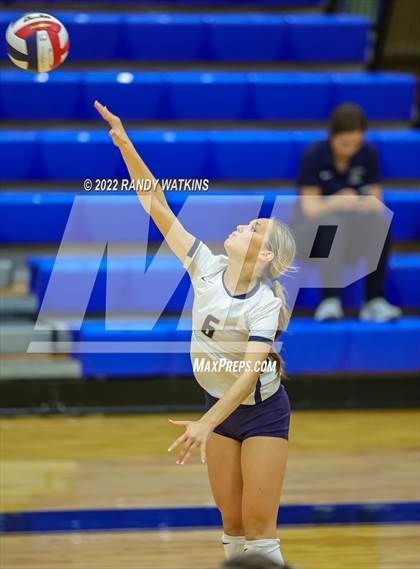 Thumbnail 1 in Birdville @ Keller photogallery.