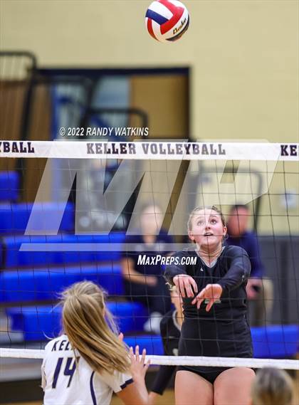 Thumbnail 2 in Birdville @ Keller photogallery.