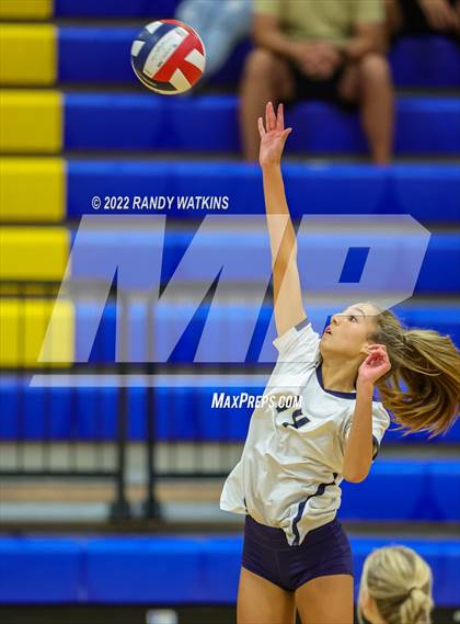 Thumbnail 1 in Birdville @ Keller photogallery.