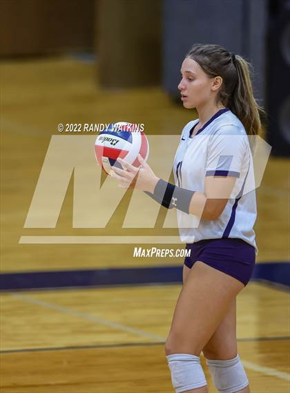 Thumbnail 1 in Birdville @ Keller photogallery.