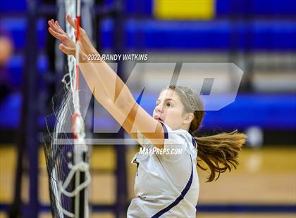 Thumbnail 2 in Birdville @ Keller photogallery.