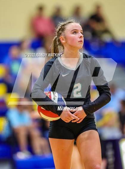 Thumbnail 3 in Birdville @ Keller photogallery.