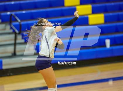 Thumbnail 3 in Birdville @ Keller photogallery.