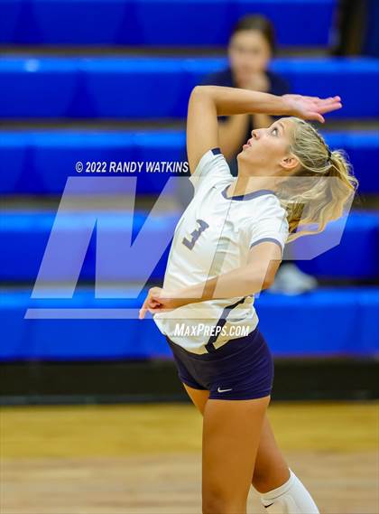 Thumbnail 1 in Birdville @ Keller photogallery.