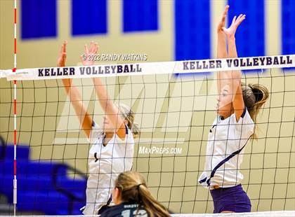Thumbnail 3 in Birdville @ Keller photogallery.