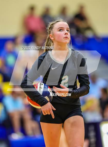 Thumbnail 1 in Birdville @ Keller photogallery.