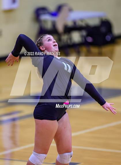 Thumbnail 3 in Birdville @ Keller photogallery.