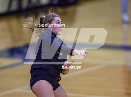 Thumbnail 3 in Birdville @ Keller photogallery.