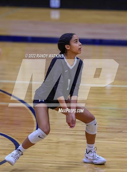 Thumbnail 1 in Birdville @ Keller photogallery.