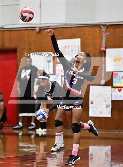 Thumbnail 3 in Crawford @ Hoover photogallery.