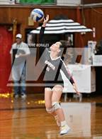 Photo from the gallery "Crawford @ Hoover"
