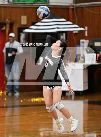 Thumbnail 3 in Crawford @ Hoover photogallery.