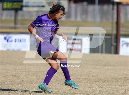 Thumbnail 1 in Hernando @ DeSoto Central photogallery.