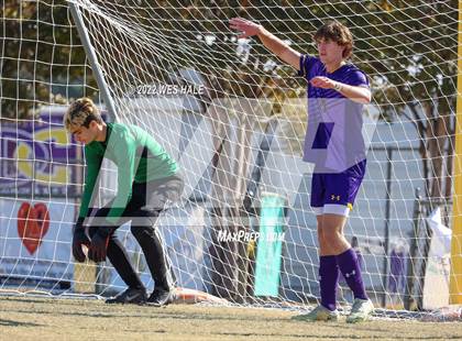 Thumbnail 3 in Hernando @ DeSoto Central photogallery.