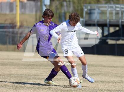 Thumbnail 3 in Hernando @ DeSoto Central photogallery.