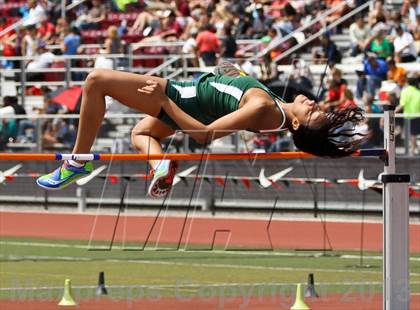 Thumbnail 2 in Arcadia Invitational (Womens Field Events) photogallery.