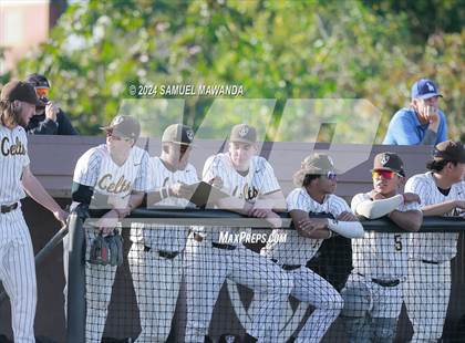 Thumbnail 3 in  Newbury Park @ Crespi photogallery.