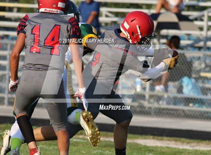 Thumbnail 3 in Lecanto @ Springstead photogallery.