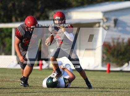 Thumbnail 3 in Lecanto @ Springstead photogallery.