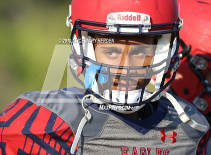 Thumbnail 3 in Lecanto @ Springstead photogallery.