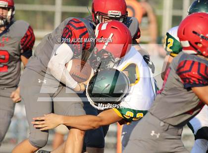 Thumbnail 3 in Lecanto @ Springstead photogallery.