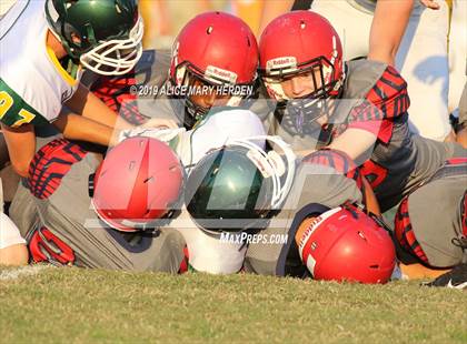 Thumbnail 1 in Lecanto @ Springstead photogallery.
