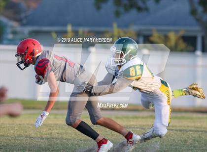 Thumbnail 3 in Lecanto @ Springstead photogallery.