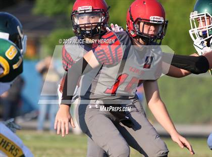 Thumbnail 3 in Lecanto @ Springstead photogallery.
