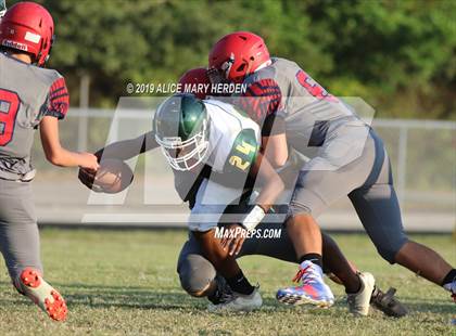 Thumbnail 2 in Lecanto @ Springstead photogallery.