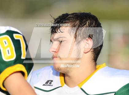 Thumbnail 1 in Lecanto @ Springstead photogallery.