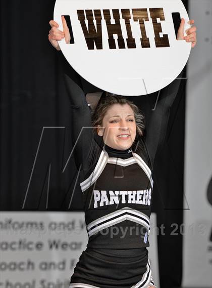 Thumbnail 2 in PIAA Competitive Spirit Championships (Large Squad Cheerbacks) photogallery.