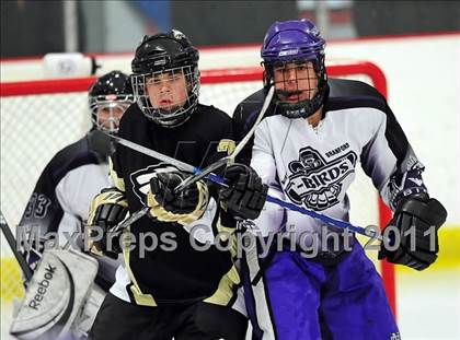 Thumbnail 2 in Trumbull @ North Branford photogallery.