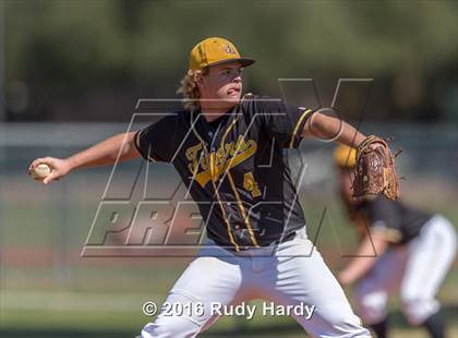 Thumbnail 2 in Klein Collins @ Spring Woods photogallery.