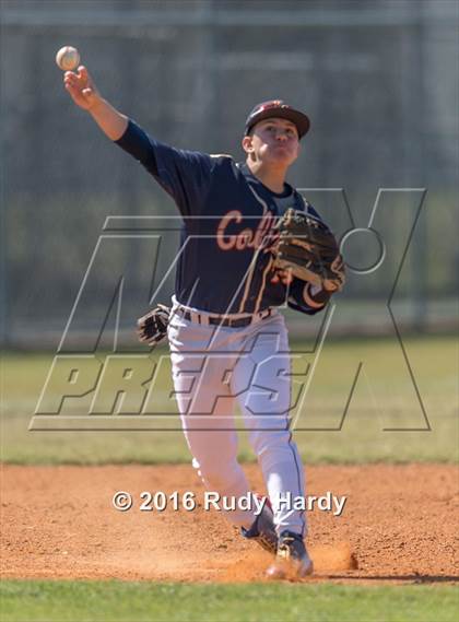 Thumbnail 3 in Klein Collins @ Spring Woods photogallery.