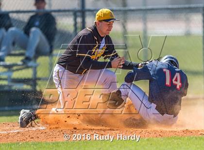 Thumbnail 1 in Klein Collins @ Spring Woods photogallery.