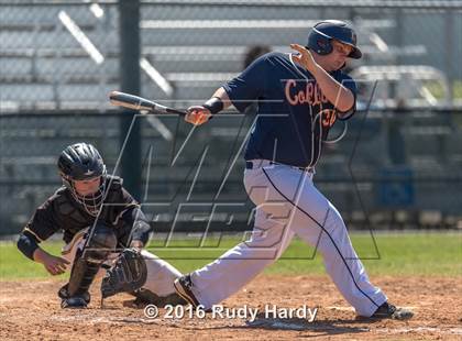 Thumbnail 3 in Klein Collins @ Spring Woods photogallery.