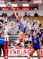 Photo from the gallery "Notre Dame-Cathedral Latin @ Bloom-Carroll (OHSAA District III Semifinal)"