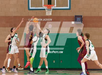 Thumbnail 2 in Pahrump Valley @ Virgin Valley photogallery.