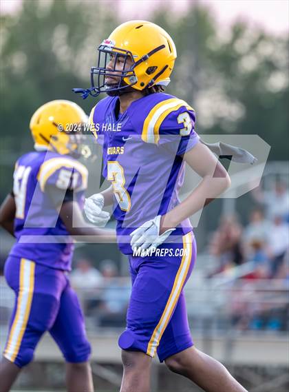 Thumbnail 3 in Hernando @ DeSoto Central photogallery.