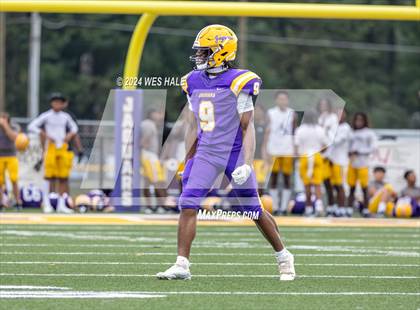 Thumbnail 1 in Hernando @ DeSoto Central photogallery.