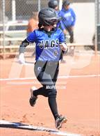 Photo from the gallery "Canyon View vs.Cibola (Dave Kops Tournament of Champions)"