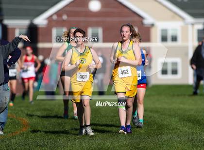 Thumbnail 1 in PIAA District IV Class AA Championship photogallery.