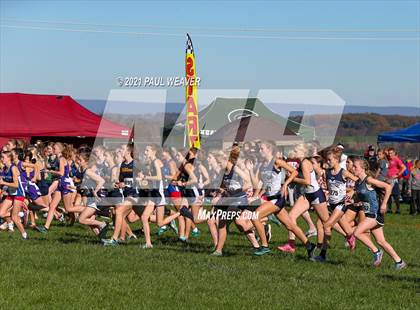 Thumbnail 1 in PIAA District IV Class AA Championship photogallery.